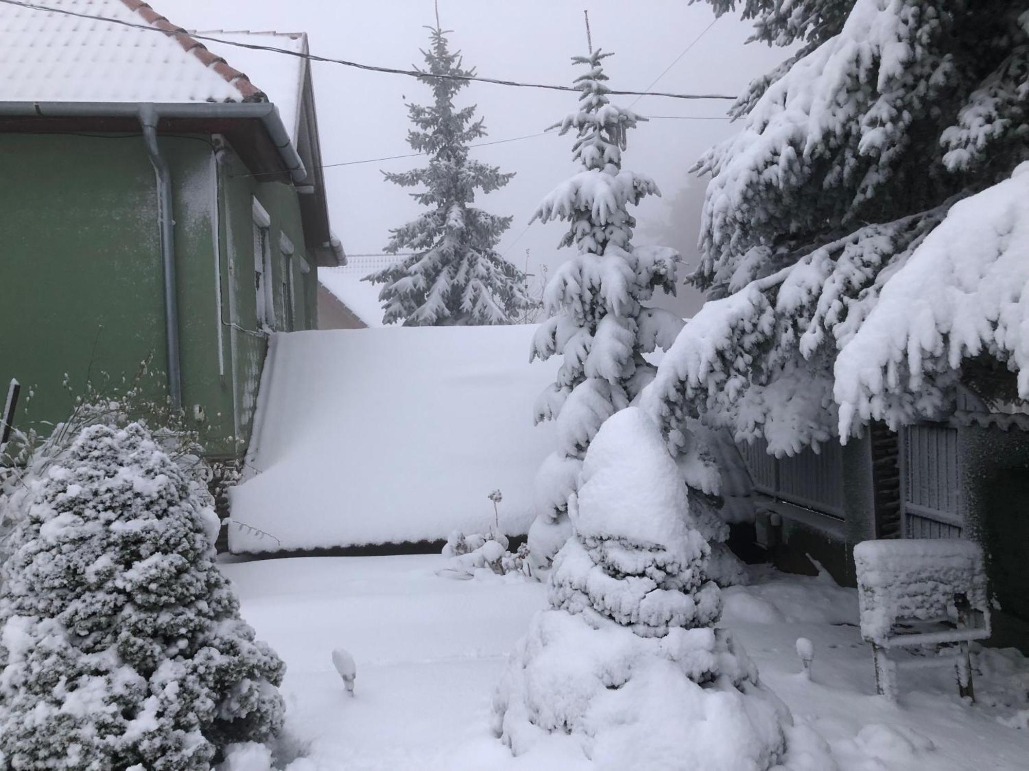 Bakonyi Mamutfenyő Vendégház Tés Esterno foto