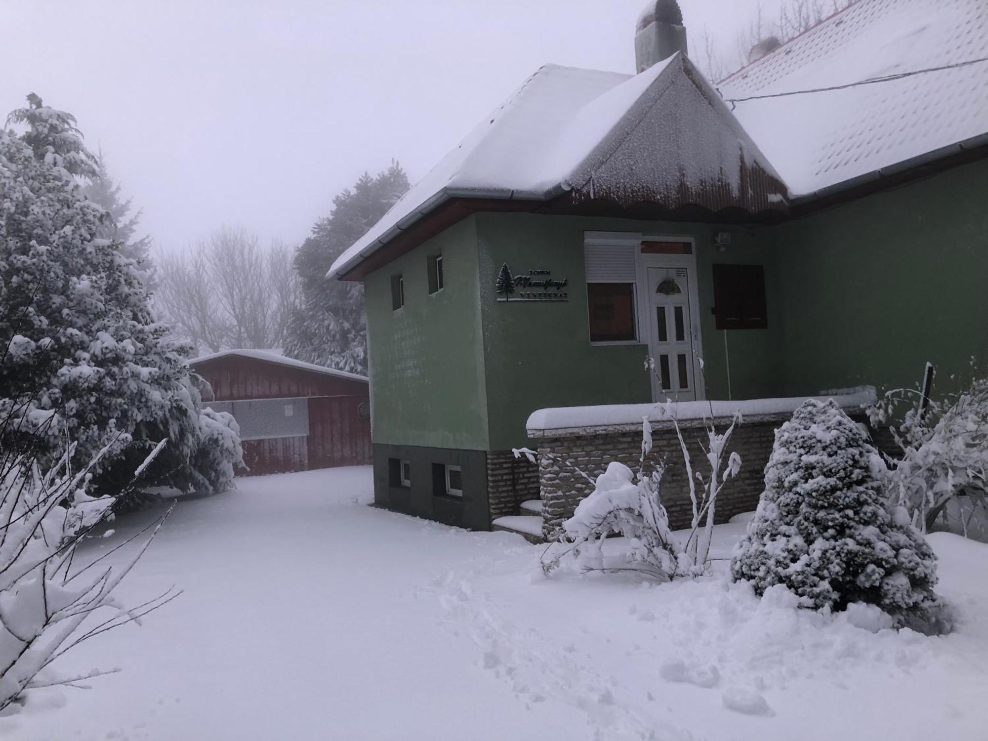 Bakonyi Mamutfenyő Vendégház Tés Esterno foto