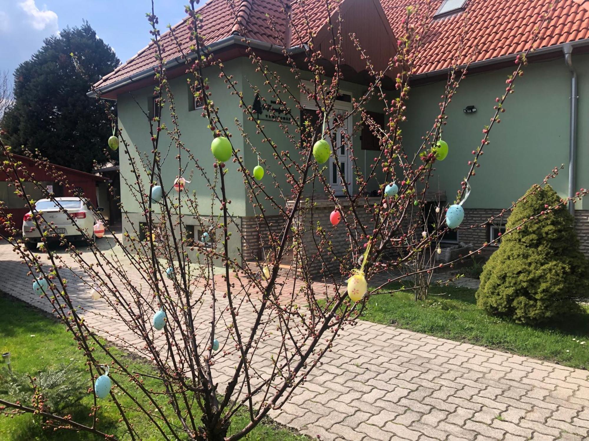 Bakonyi Mamutfenyő Vendégház Tés Esterno foto
