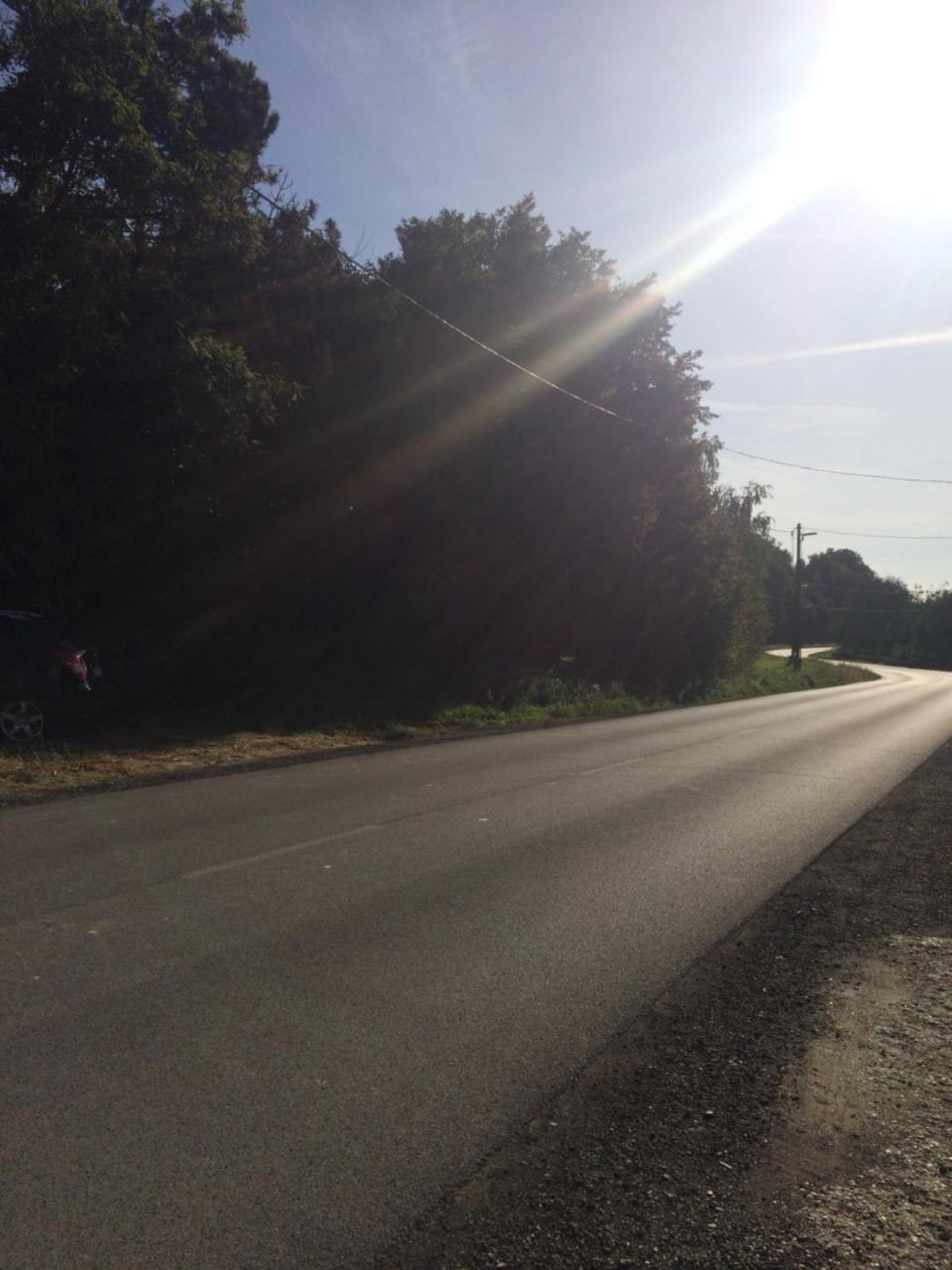 Bakonyi Mamutfenyő Vendégház Tés Esterno foto
