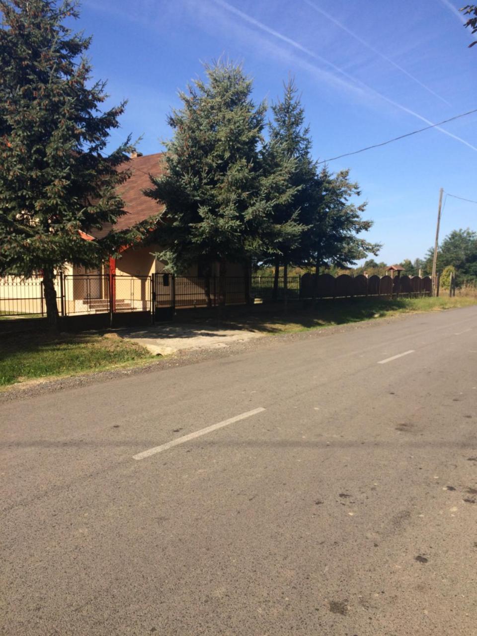 Bakonyi Mamutfenyő Vendégház Tés Esterno foto